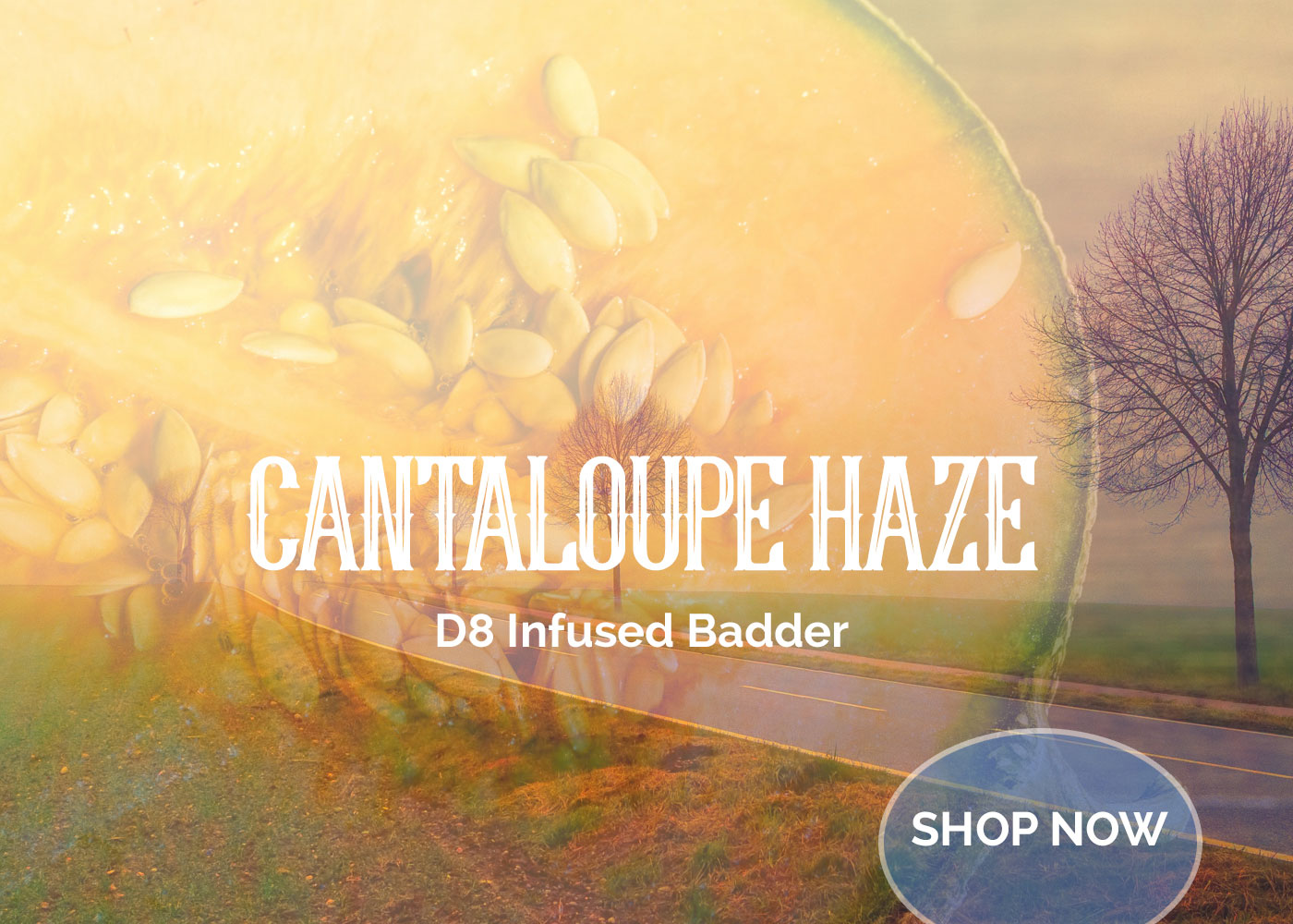 Cantaloupe Haze D8 Infused Badder For Sale