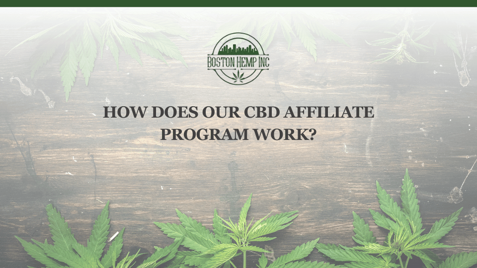 HOW DOES OUR CBD AFFILIATE PROGRAM WORK