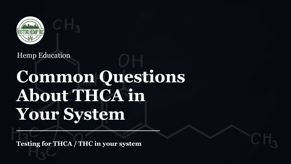 Common Questions about THCA in Your System