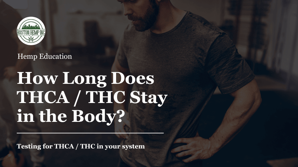 How Long Does THC Stay in the Different Body Parts