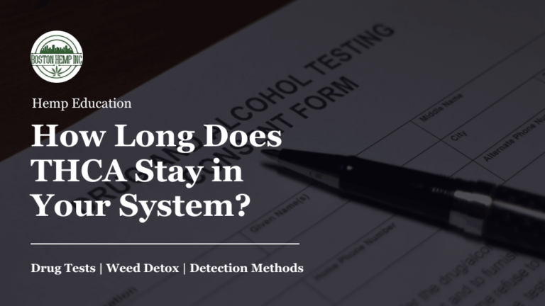 How Long Does THCA Stay in Your System - Boston Hemp