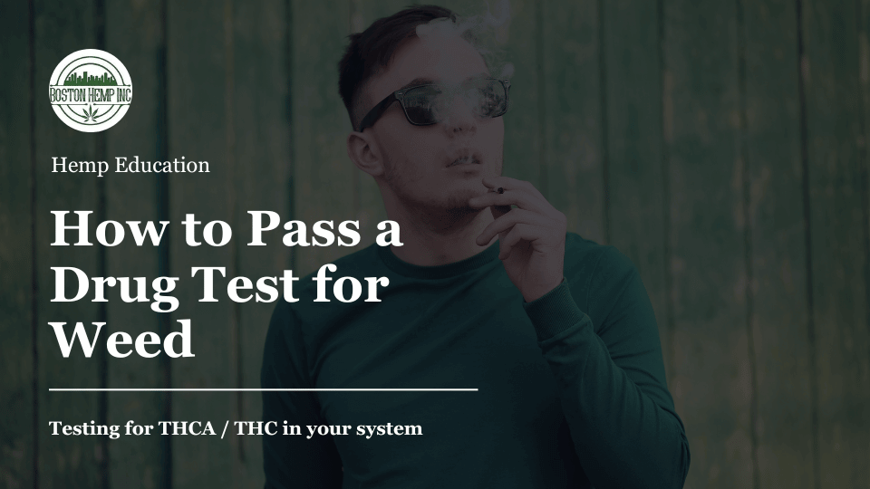 How to Pass a Weed Drug Test