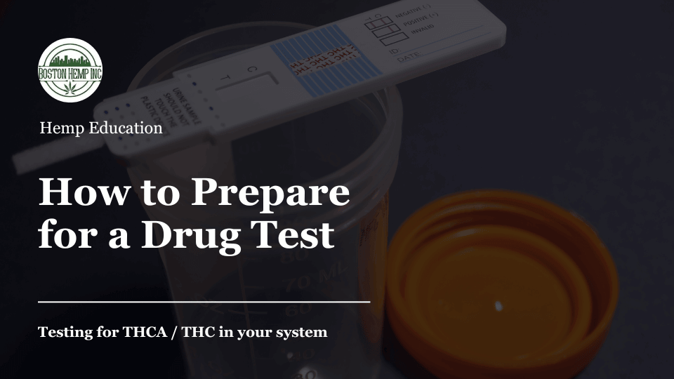How to prepare for a drug test