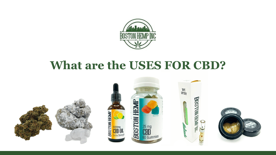 What are the most common CBD Uses?