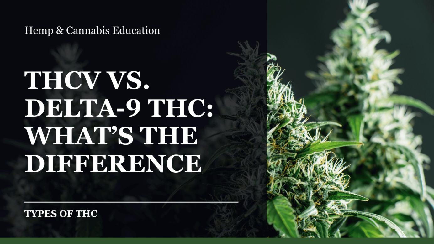 THCV VS. DELTA-9 THC- WHAT’S THE DIFFERENCE