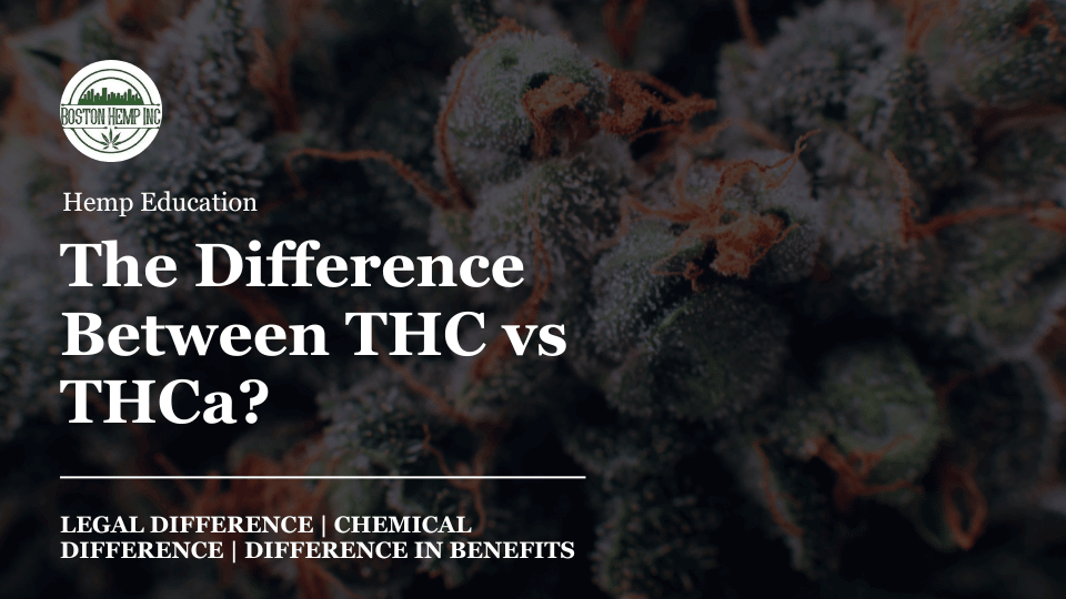 The Difference Between THC vs THCa