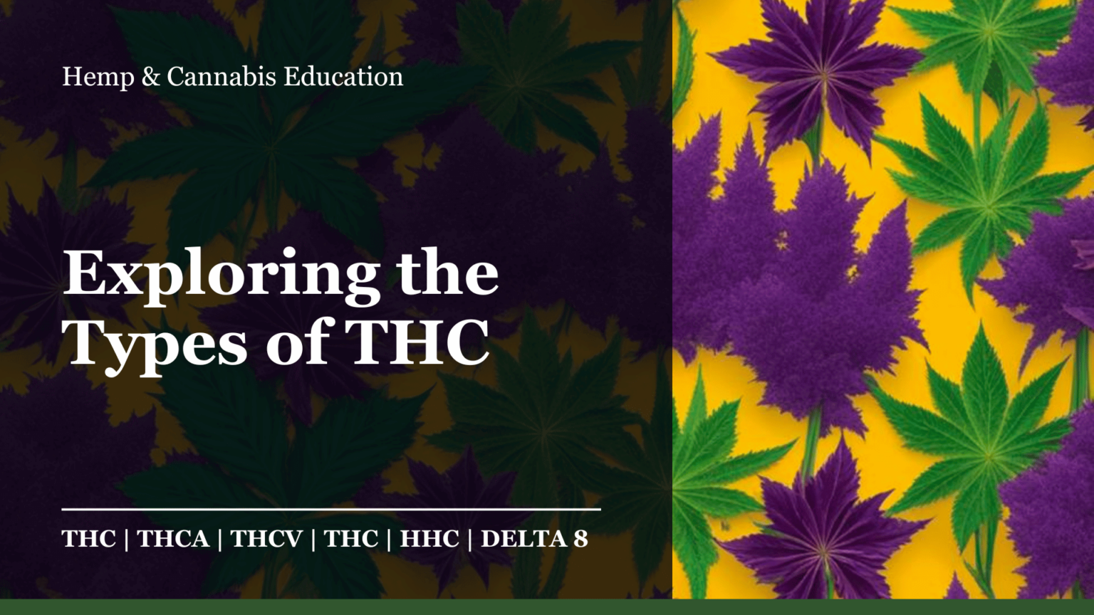 Exploring the Types of THC Boston Hemp