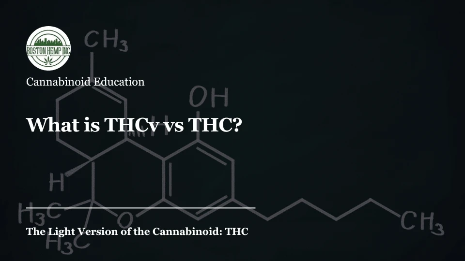 What is THCv vs THC?