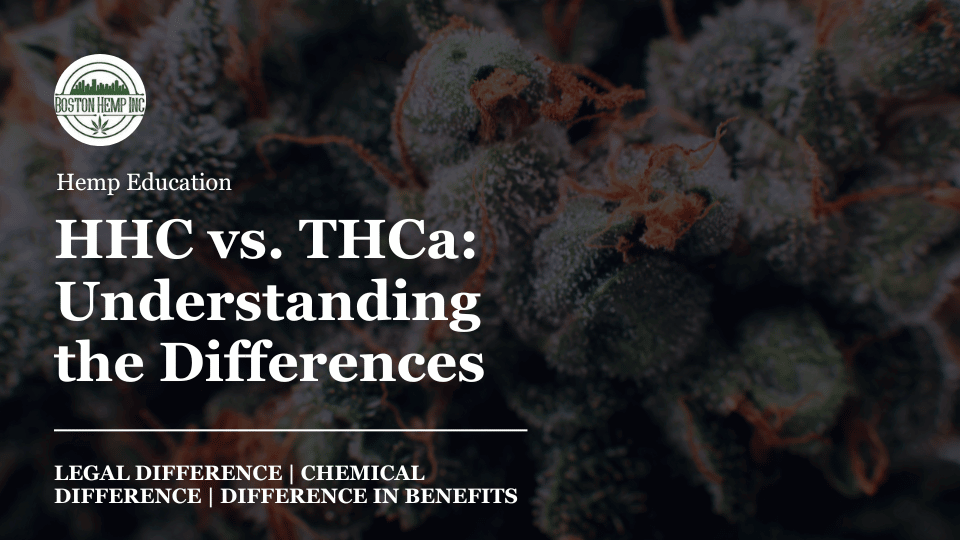 The Difference Between THC vs THCa
