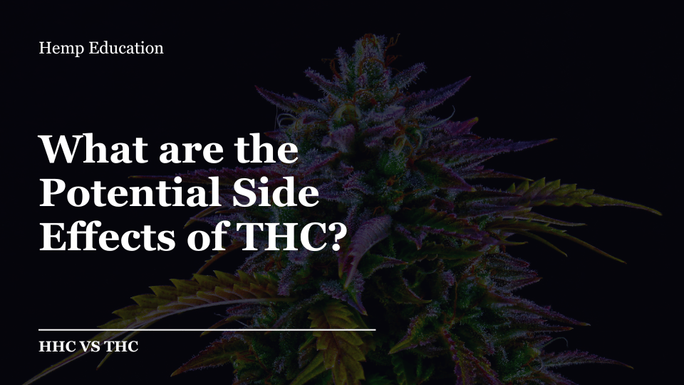 What are the Potential Side Effects of THC