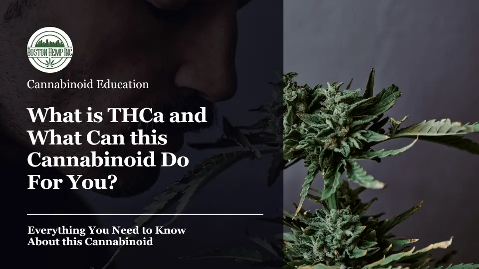 What is THCa and What Can this Cannabinoid Do For You
