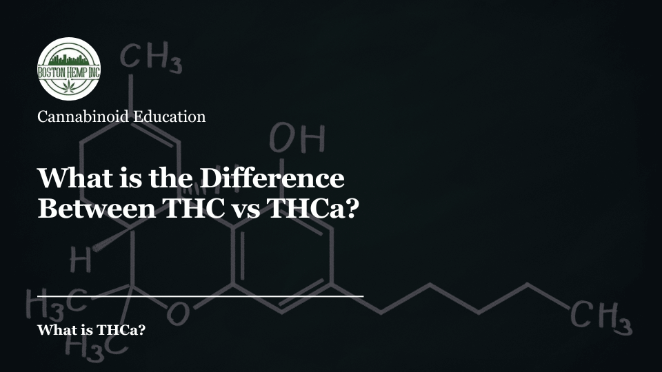 What is the Difference Between THC vs THCa