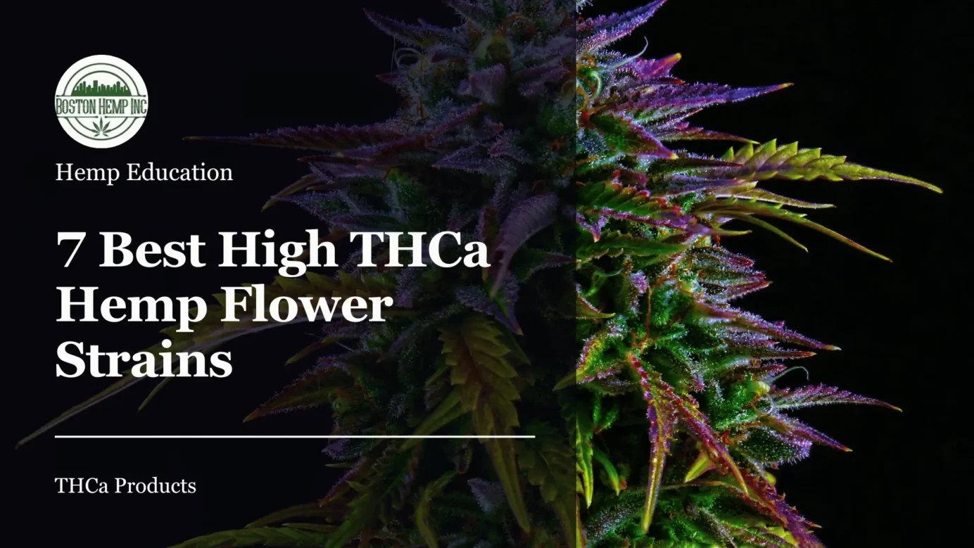 7 Best High THCa Strains of Hemp Flower