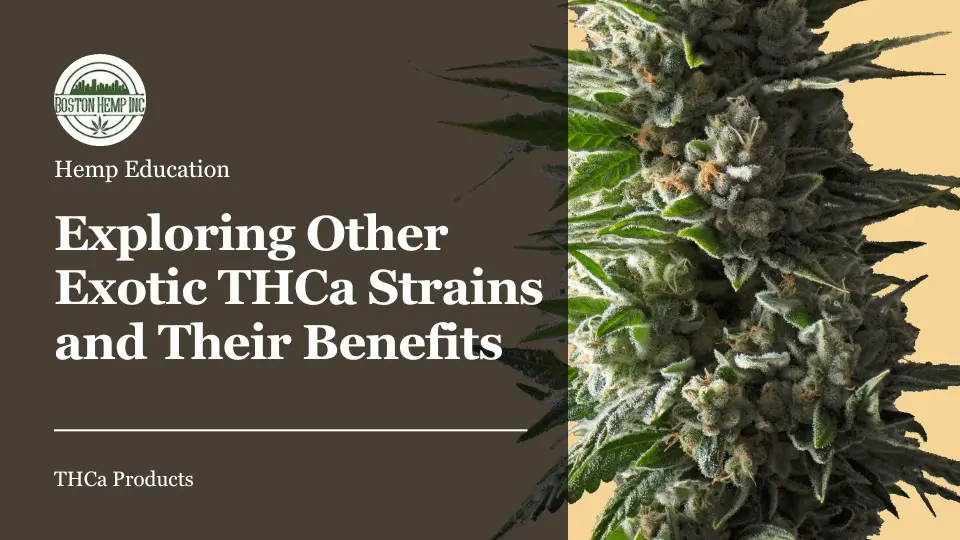 Exploring Other Exotic THCa Strains and Their Benefits
