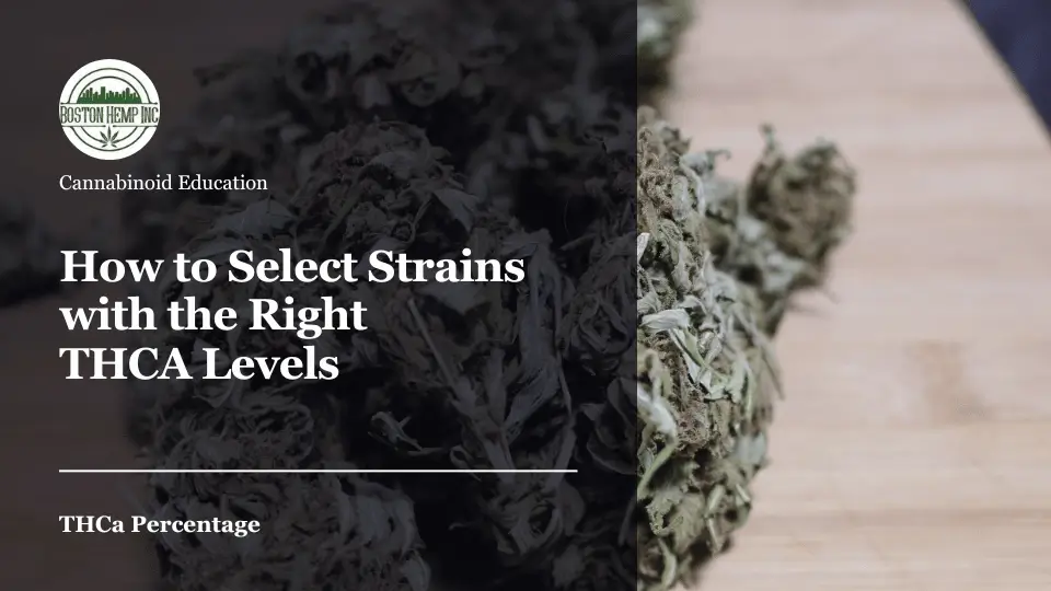 How to Select Strains with the Right THCA Levels
