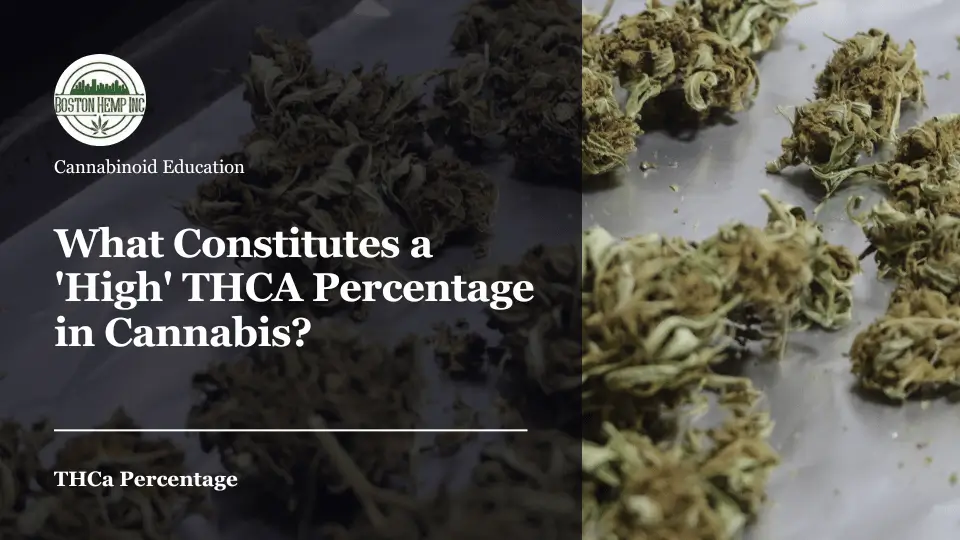 What Constitutes a 'High' THCA Percentage in Cannabis?