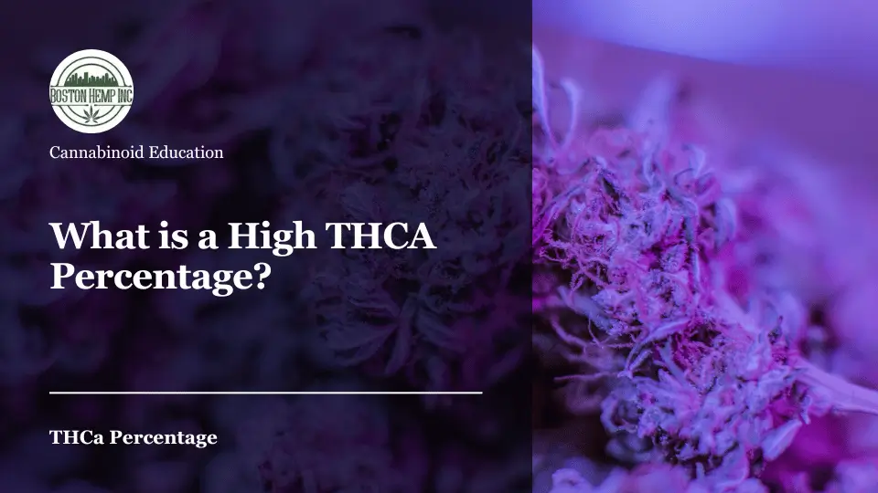 What is a High THCA Percentage