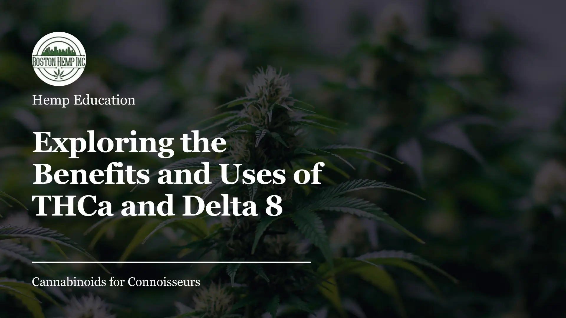 Exploring the Benefits and Uses of THCa and Delta 8