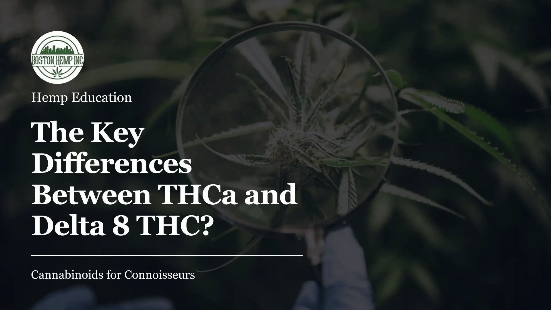 What Are the Key Differences Between THCa and Delta 8 THC
