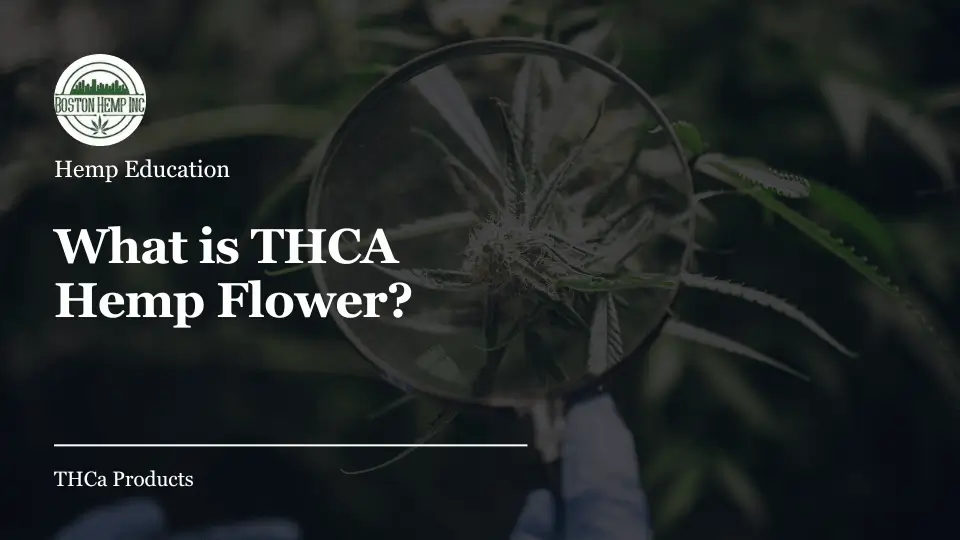 What is THCA Hemp Flower