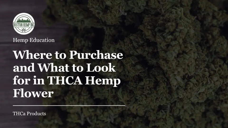 Where to Purchase and What to Look for in THCA Hemp Flower (1)